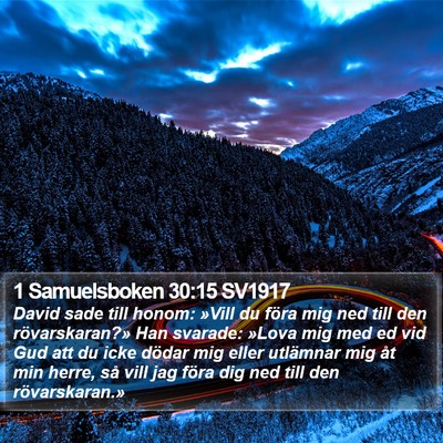 1 Samuelsboken 30:15 SV1917 Bible Verse Image