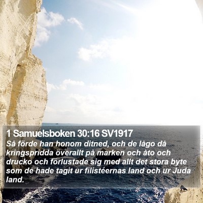 1 Samuelsboken 30:16 SV1917 Bible Verse Image
