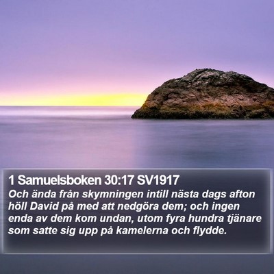 1 Samuelsboken 30:17 SV1917 Bible Verse Image