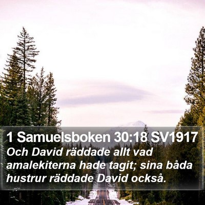 1 Samuelsboken 30:18 SV1917 Bible Verse Image