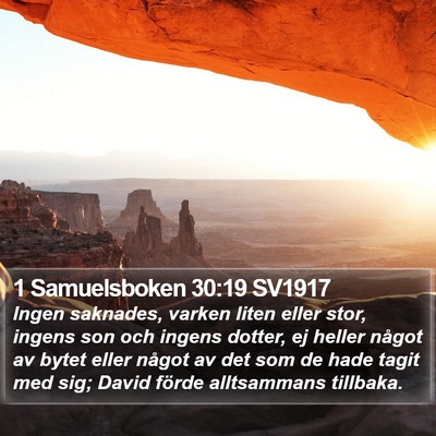 1 Samuelsboken 30:19 SV1917 Bible Verse Image