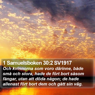 1 Samuelsboken 30:2 SV1917 Bible Verse Image