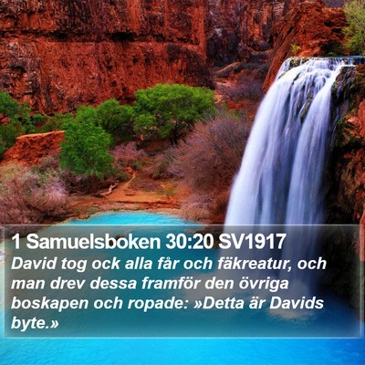 1 Samuelsboken 30:20 SV1917 Bible Verse Image