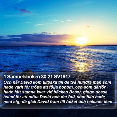 1 Samuelsboken 30:21 SV1917 Bible Verse Image