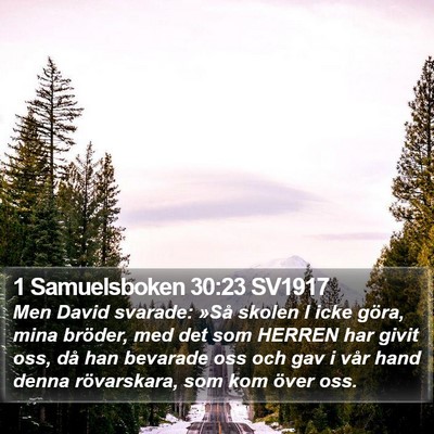 1 Samuelsboken 30:23 SV1917 Bible Verse Image