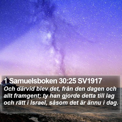 1 Samuelsboken 30:25 SV1917 Bible Verse Image