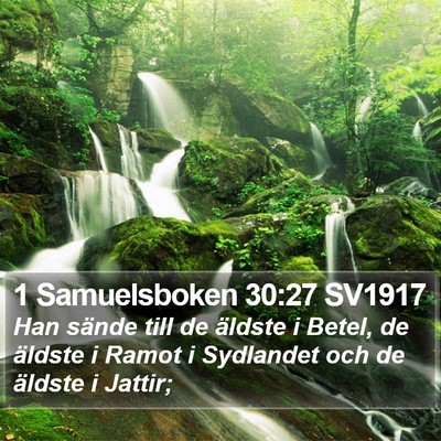 1 Samuelsboken 30:27 SV1917 Bible Verse Image