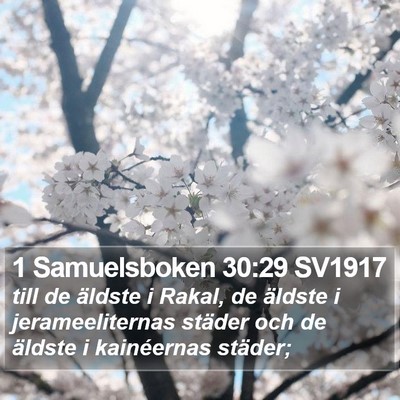 1 Samuelsboken 30:29 SV1917 Bible Verse Image