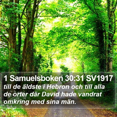 1 Samuelsboken 30:31 SV1917 Bible Verse Image