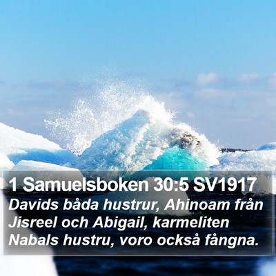 1 Samuelsboken 30:5 SV1917 Bible Verse Image