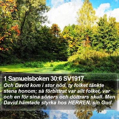 1 Samuelsboken 30:6 SV1917 Bible Verse Image