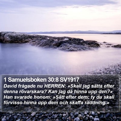 1 Samuelsboken 30:8 SV1917 Bible Verse Image