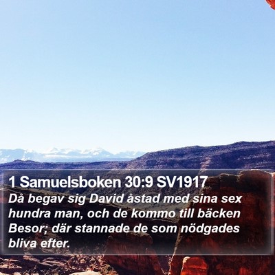 1 Samuelsboken 30:9 SV1917 Bible Verse Image