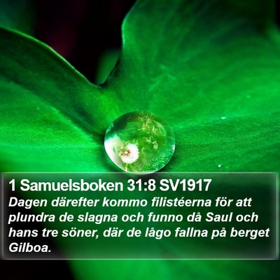 1 Samuelsboken 31:8 SV1917 Bible Verse Image