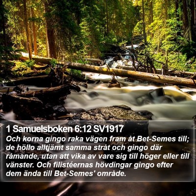 1 Samuelsboken 6:12 SV1917 Bible Verse Image