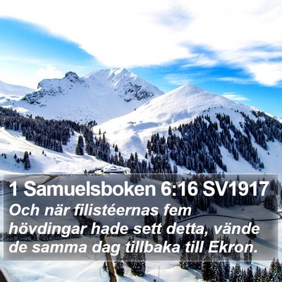 1 Samuelsboken 6:16 SV1917 Bible Verse Image