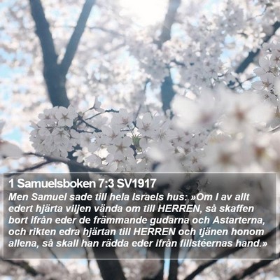 1 Samuelsboken 7:3 SV1917 Bible Verse Image