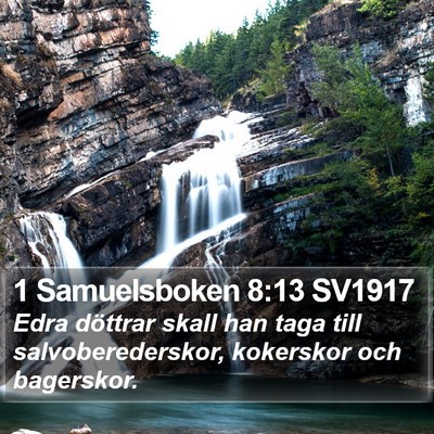1 Samuelsboken 8:13 SV1917 Bible Verse Image