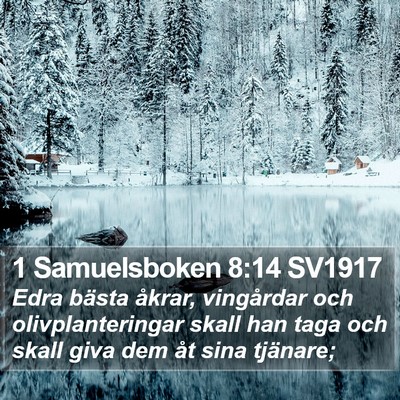 1 Samuelsboken 8:14 SV1917 Bible Verse Image