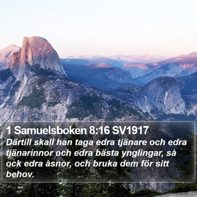1 Samuelsboken 8:16 SV1917 Bible Verse Image