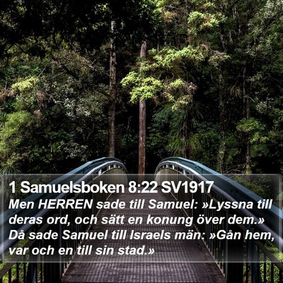 1 Samuelsboken 8:22 SV1917 Bible Verse Image
