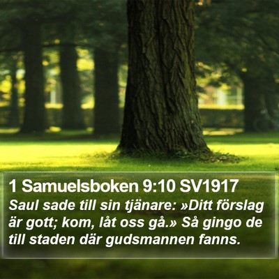 1 Samuelsboken 9:10 SV1917 Bible Verse Image