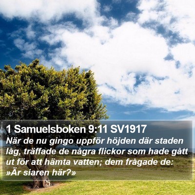 1 Samuelsboken 9:11 SV1917 Bible Verse Image