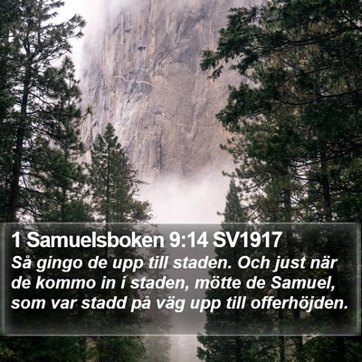 1 Samuelsboken 9:14 SV1917 Bible Verse Image