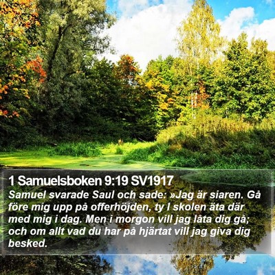 1 Samuelsboken 9:19 SV1917 Bible Verse Image