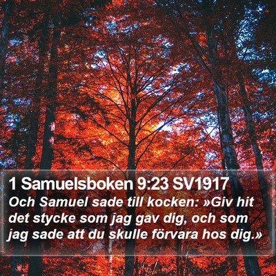 1 Samuelsboken 9:23 SV1917 Bible Verse Image