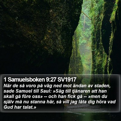 1 Samuelsboken 9:27 SV1917 Bible Verse Image
