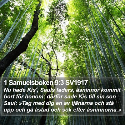 1 Samuelsboken 9:3 SV1917 Bible Verse Image