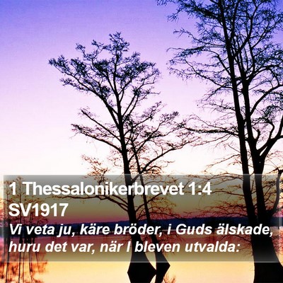 1 Thessalonikerbrevet 1:4 SV1917 Bible Verse Image