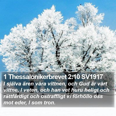 1 Thessalonikerbrevet 2:10 SV1917 Bible Verse Image
