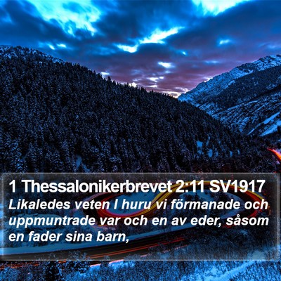 1 Thessalonikerbrevet 2:11 SV1917 Bible Verse Image