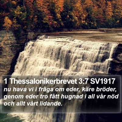 1 Thessalonikerbrevet 3:7 SV1917 Bible Verse Image