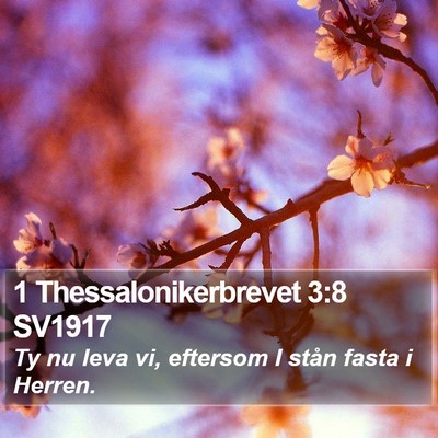 1 Thessalonikerbrevet 3:8 SV1917 Bible Verse Image