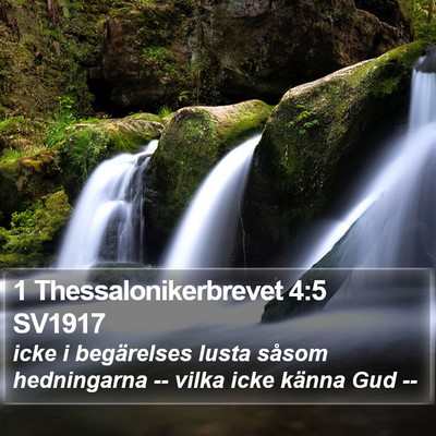 1 Thessalonikerbrevet 4:5 SV1917 Bible Verse Image