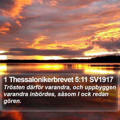 1 Thessalonikerbrevet 5:11 SV1917 Bible Verse Image