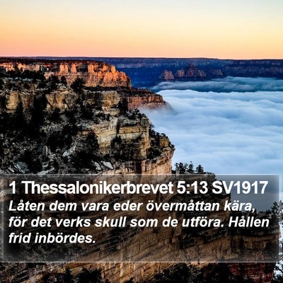 1 Thessalonikerbrevet 5:13 SV1917 Bible Verse Image