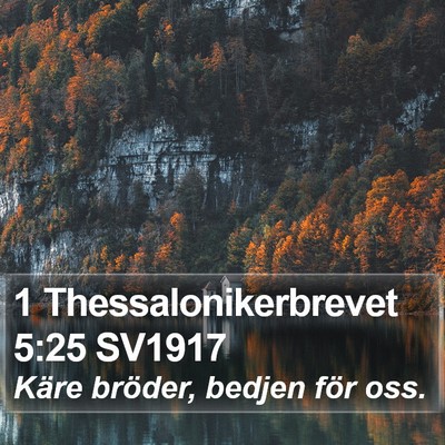 1 Thessalonikerbrevet 5:25 SV1917 Bible Verse Image