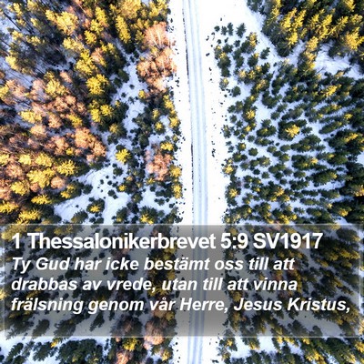 1 Thessalonikerbrevet 5:9 SV1917 Bible Verse Image