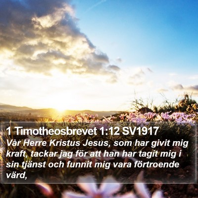 1 Timotheosbrevet 1:12 SV1917 Bible Verse Image