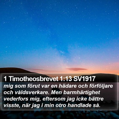 1 Timotheosbrevet 1:13 SV1917 Bible Verse Image
