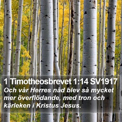 1 Timotheosbrevet 1:14 SV1917 Bible Verse Image