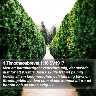 1 Timotheosbrevet 1:16 SV1917 Bible Verse Image
