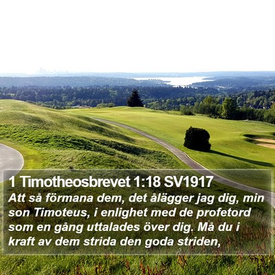 1 Timotheosbrevet 1:18 SV1917 Bible Verse Image