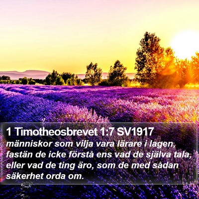 1 Timotheosbrevet 1:7 SV1917 Bible Verse Image