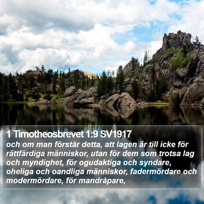 1 Timotheosbrevet 1:9 SV1917 Bible Verse Image