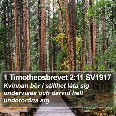 1 Timotheosbrevet 2:11 SV1917 Bible Verse Image